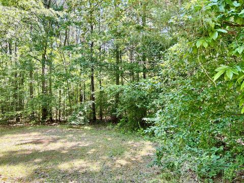 177 E Ranchette Rd, Temple, GA 30179 photo 4