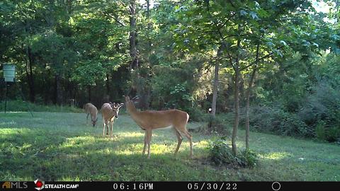 83 Old Alcovy Rd, Covington, GA 30014 photo 25