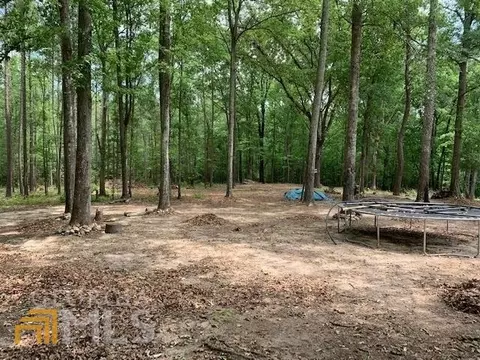 294 Freeman Rd, Barnesville, GA 30204 photo 6