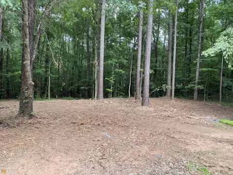1175 Jackson Lake Rd, Jackson, GA 30233 photo 40