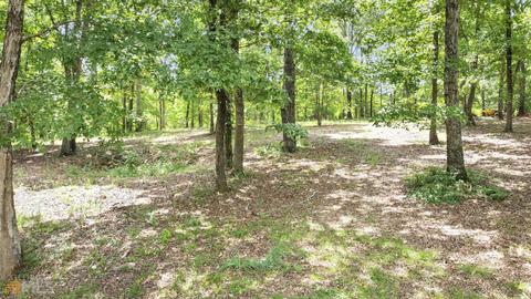 575 Rawls Rd, Williamson, GA 30292 photo 23