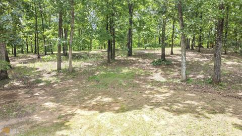 575 Rawls Rd, Williamson, GA 30292 photo 22