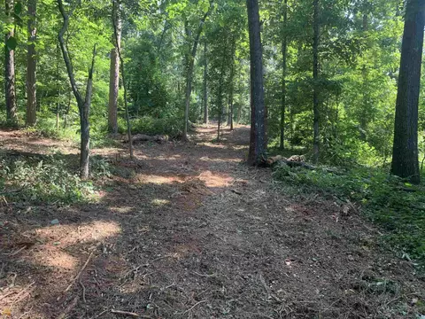 0 Freeman Creek Rd #- 9.5 ACRES, Toccoa, GA 30577 photo 6