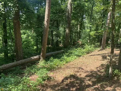 0 Freeman Creek Rd #- 9.5 ACRES, Toccoa, GA 30577 photo 9