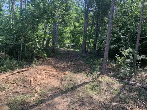 0 Freeman Creek Rd #- 9.5 ACRES, Toccoa, GA 30577 photo 5