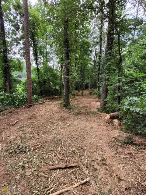 0 Freeman Creek Rd #- 9.5 ACRES, Toccoa, GA 30577 photo 11