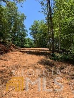 16 Yonah Lake Rd, Toccoa, GA 30577 photo 7