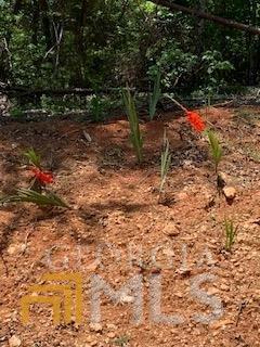 16 Yonah Lake Rd, Toccoa, GA 30577 photo 4