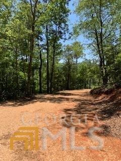 16 Yonah Lake Rd, Toccoa, GA 30577 photo 3