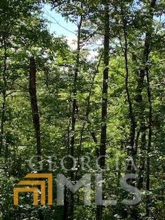 16 Yonah Lake Rd, Toccoa, GA 30577 photo 2