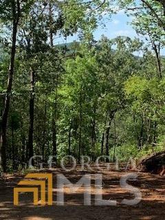 16 Yonah Lake Rd, Toccoa, GA 30577 photo 1