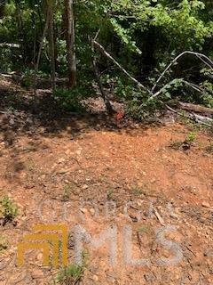 16 Yonah Lake Rd, Toccoa, GA 30577 photo 6