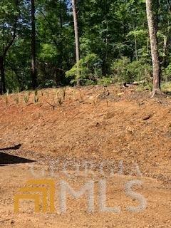 16 Yonah Lake Rd, Toccoa, GA 30577 photo 8