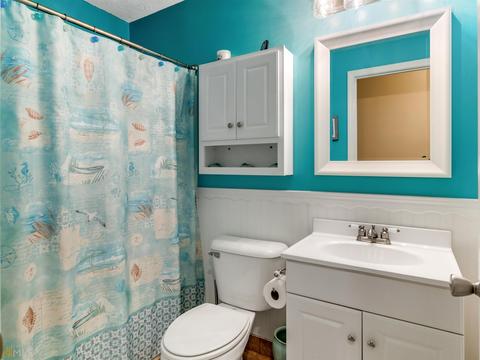 224 Prairie Hen Ln, Hampton, GA 30228 photo 38