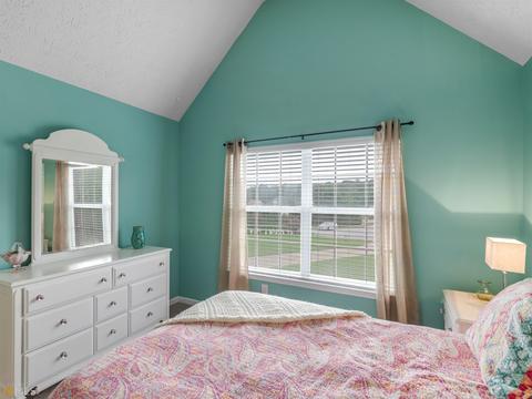 224 Prairie Hen Ln, Hampton, GA 30228 photo 40