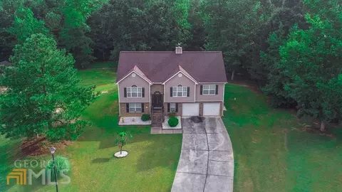 12820 Dolphin Pt, Hampton, GA 30228 photo 35