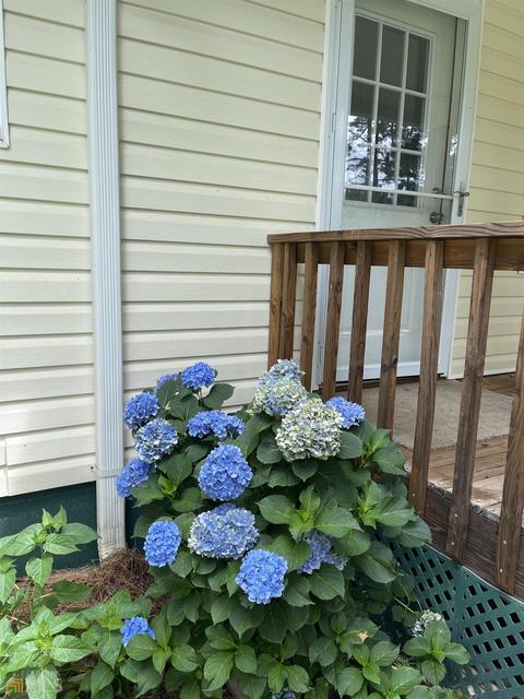 2583 W Currahee St, Toccoa, GA 30577 photo 5