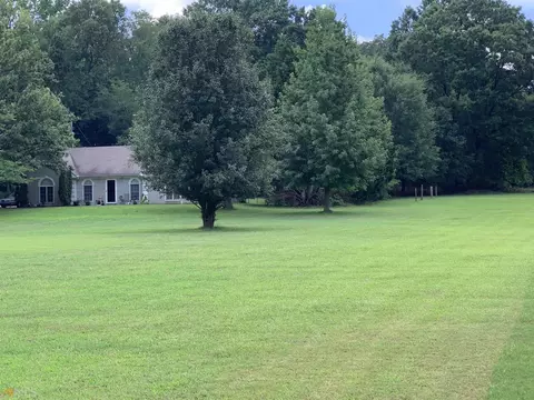 13776 Panhandle Rd, Hampton, GA 30228 photo 13