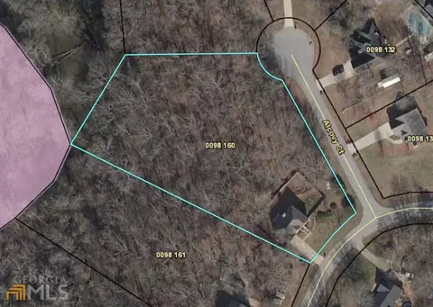 295 Alcovy Cir, Covington, GA 30014 photo 40