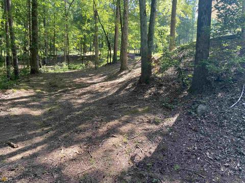 56 Christopher Ln, Lagrange, GA 30240 photo 38