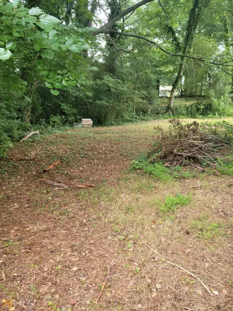 2500 Celina Ct, Morrow, GA 30260 photo 3