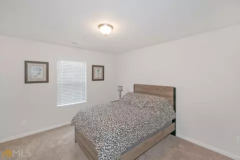 12033 Jojo Ct, Hampton, GA 30228 photo 23