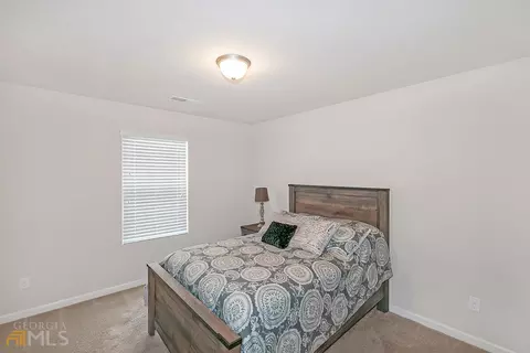 12033 Jojo Ct, Hampton, GA 30228 photo 26