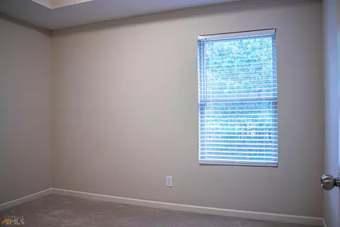 381 Panhandle Pl, Hampton, GA 30228 photo 52