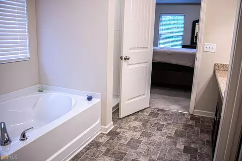 381 Panhandle Pl, Hampton, GA 30228 photo 38