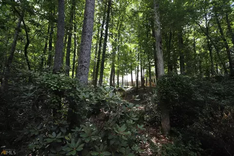 4619 E River Rd, Mentone, AL 35984 photo 109