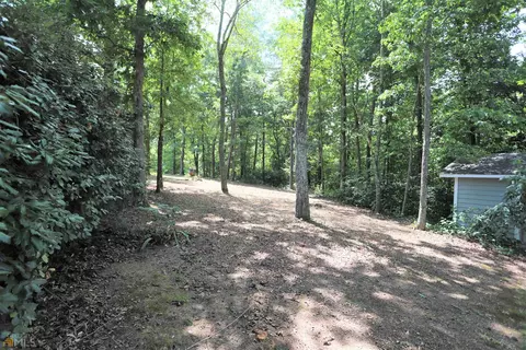 4619 E River Rd, Mentone, AL 35984 photo 27