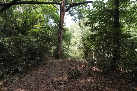 4619 E River Rd, Mentone, AL 35984 photo 108