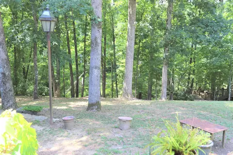 4619 E River Rd, Mentone, AL 35984 photo 28
