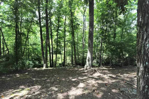 4619 E River Rd, Mentone, AL 35984 photo 40