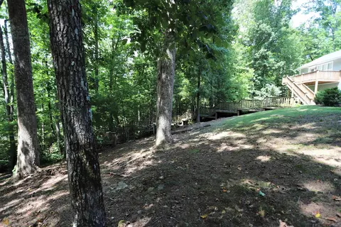4619 E River Rd, Mentone, AL 35984 photo 41