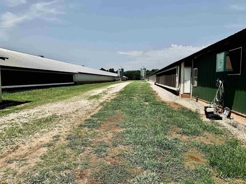 631 Clements Rd, Comer, GA 30629 photo 5