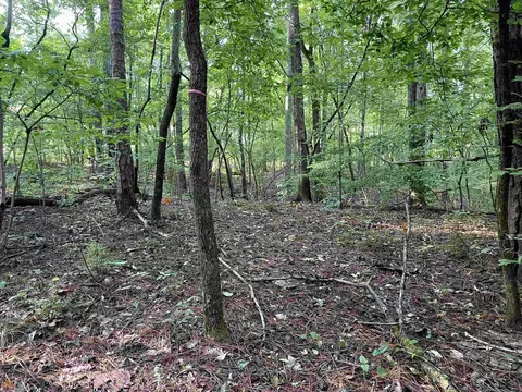 1035 County Rd 450, Lanett, AL 36863