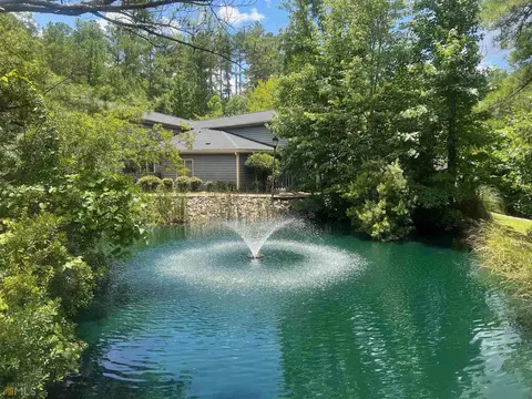 460 River Pointe Dr, Macon, GA 31211 photo 19
