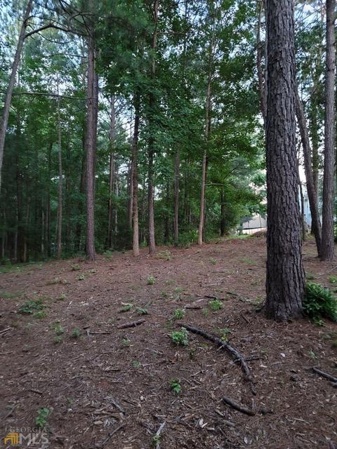 80 Heatherstone Way, Covington, GA 30016 photo 8