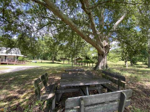 205 Watson St, Lagrange, GA 30241 photo 8
