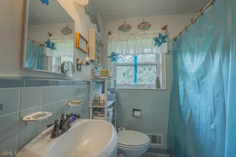717 Rosedale St, Toccoa, GA 30577 photo 38