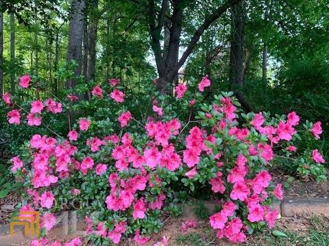 170 Blue Smoke Trl, Hampton, GA 30228 photo 39