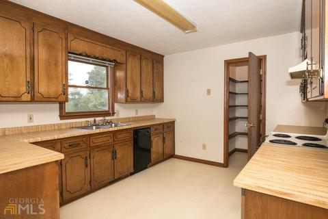 252 Ginn St, Carnesville, GA 30521 photo 11
