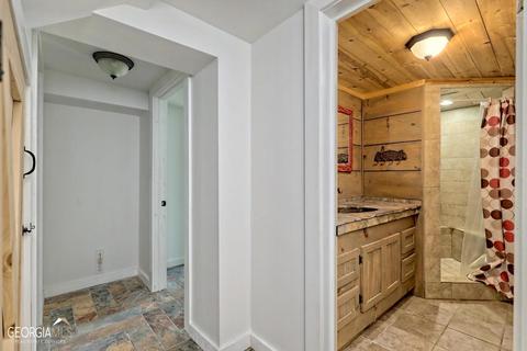 342 Ritchie Rd, Tiger, GA 30576 photo 33