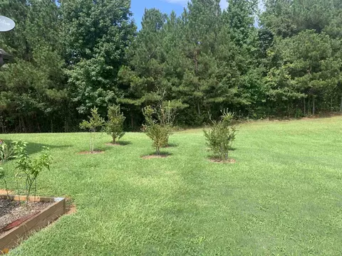 1137 John Lovelace Rd, Lagrange, GA 30241 photo 54