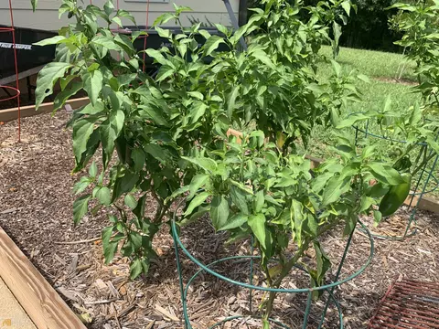 1137 John Lovelace Rd, Lagrange, GA 30241 photo 55