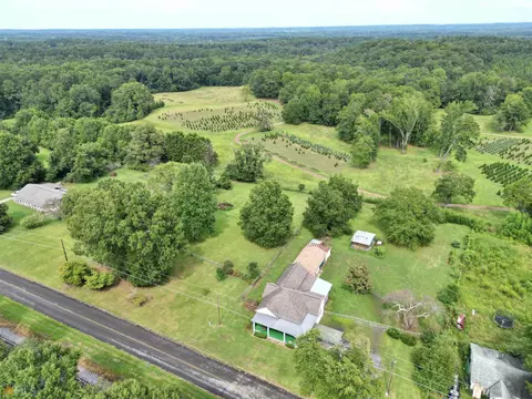 168 Church Rd, Hampton, GA 30228 photo 22