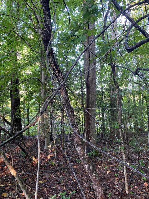 192 Lewis Dailey Cv, Nicholson, GA 30565 photo 5