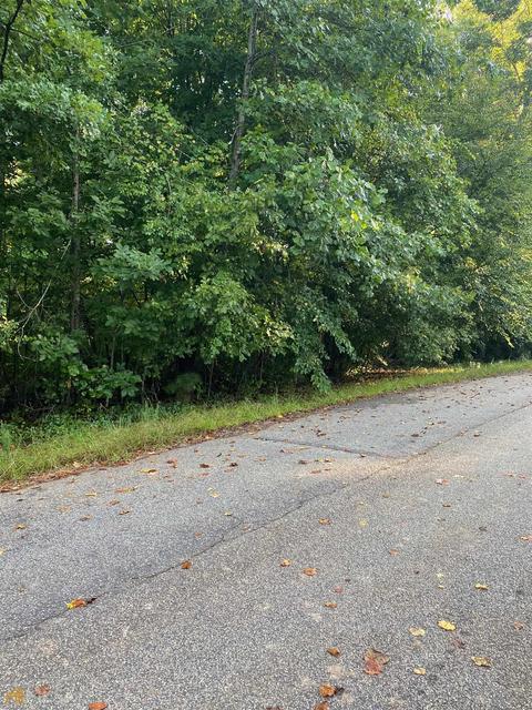 192 Lewis Dailey Cv, Nicholson, GA 30565 photo 2