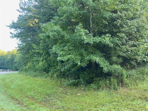 192 Lewis Dailey Cv, Nicholson, GA 30565 photo 7
